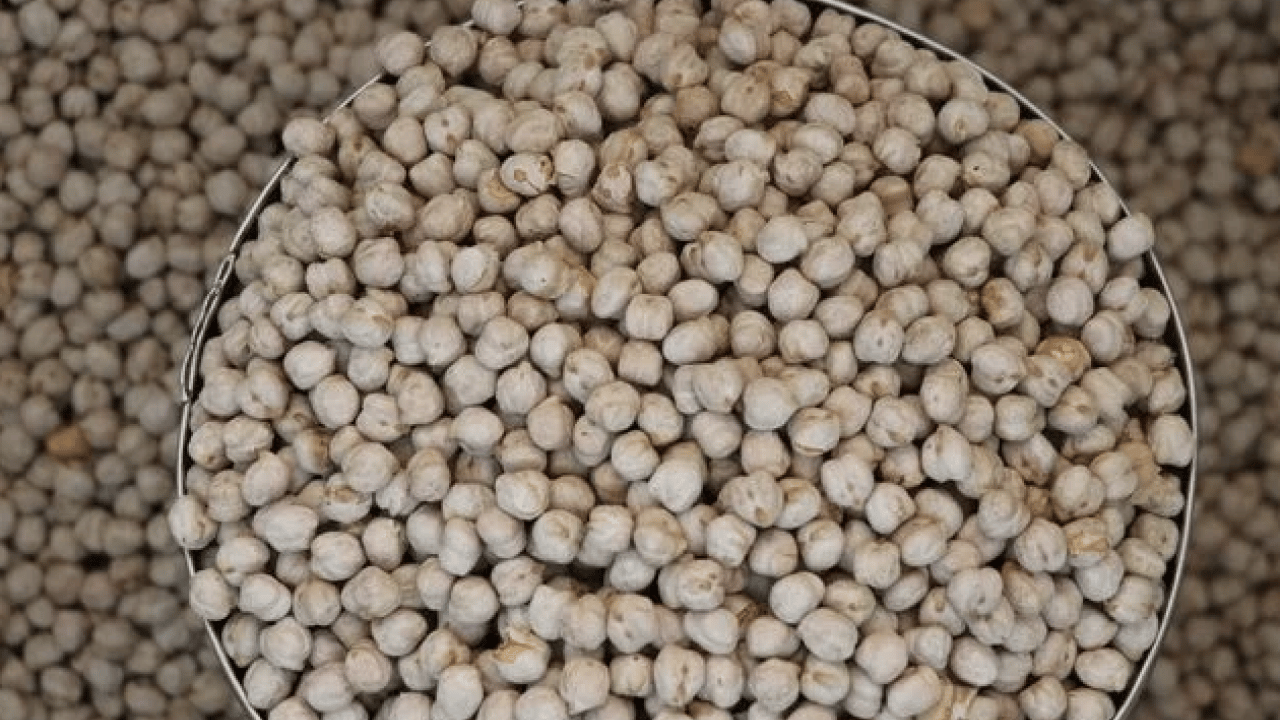 Foto - İşte bu hiç iyi olmadı... Leblebi gerçekten kilo yapar mı? Diyetin dostu mu, düşmanı mı?