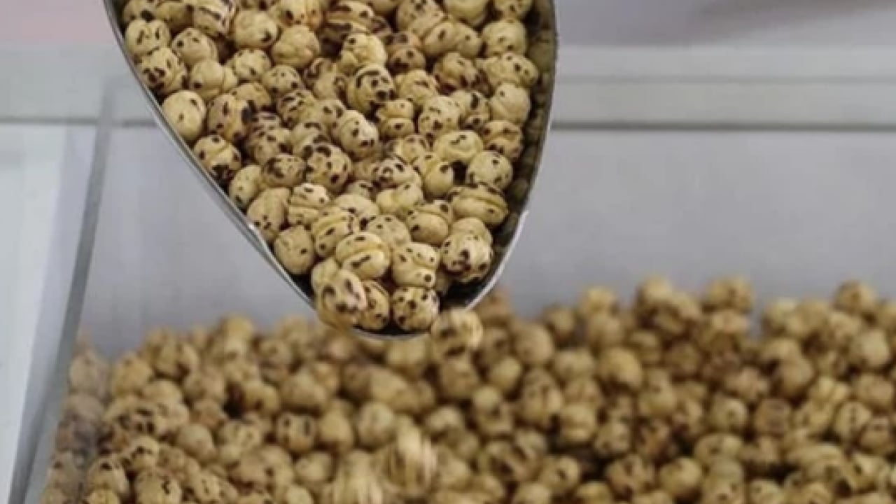 Foto - İşte bu hiç iyi olmadı... Leblebi gerçekten kilo yapar mı? Diyetin dostu mu, düşmanı mı?