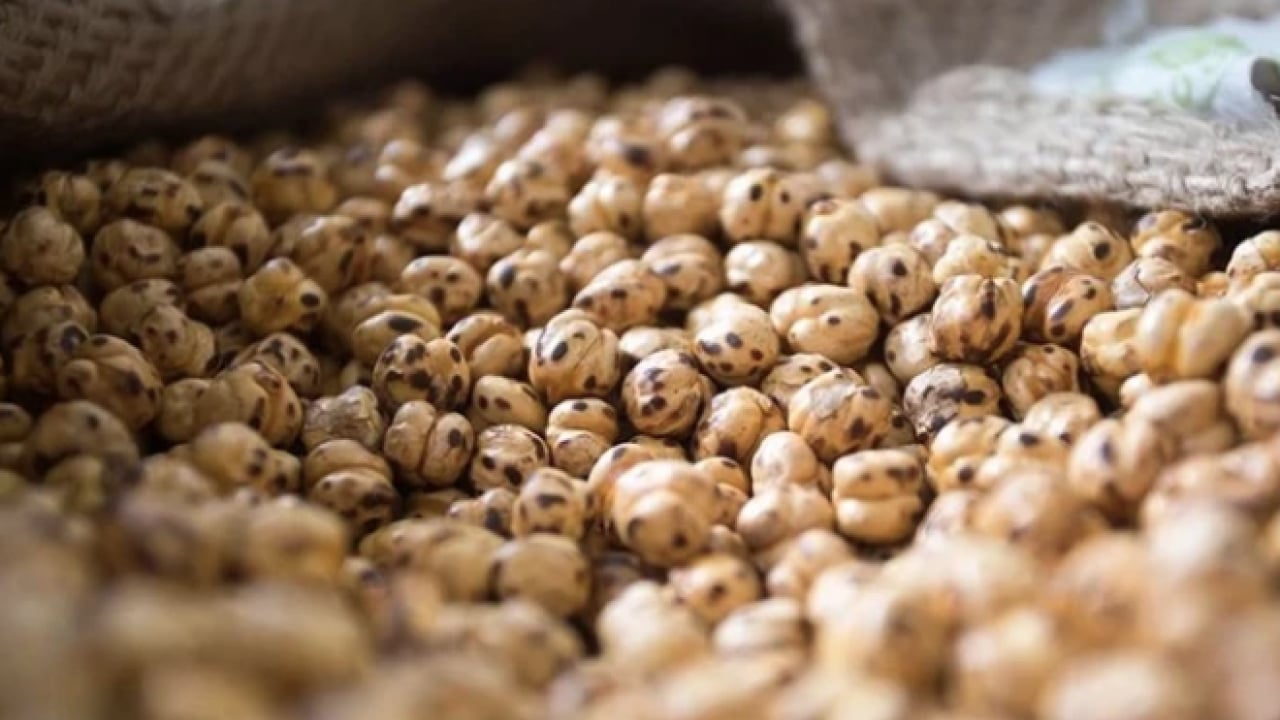 Foto - İşte bu hiç iyi olmadı... Leblebi gerçekten kilo yapar mı? Diyetin dostu mu, düşmanı mı?