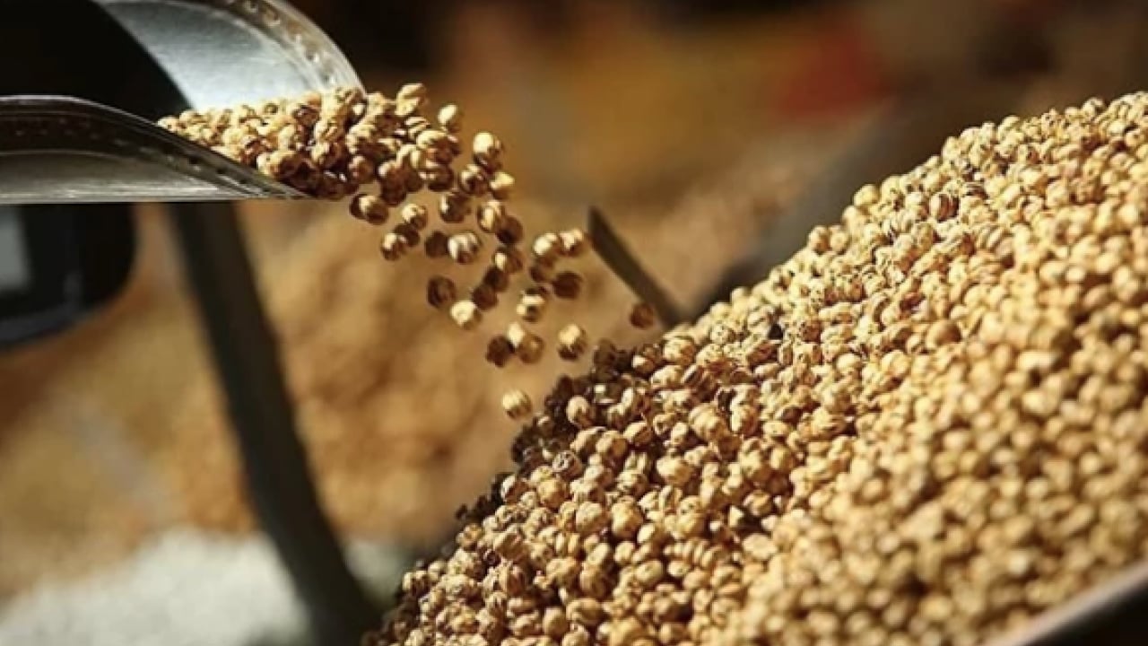 Foto - İşte bu hiç iyi olmadı... Leblebi gerçekten kilo yapar mı? Diyetin dostu mu, düşmanı mı?