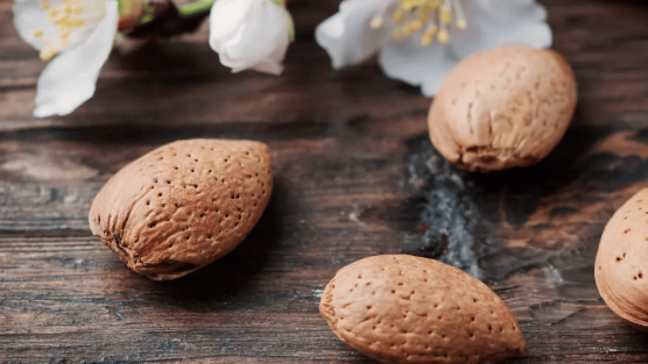 Foto - İşte bu son klinik çalışmalar... Damarları iyileştiren 2 besini bilim öneriyor