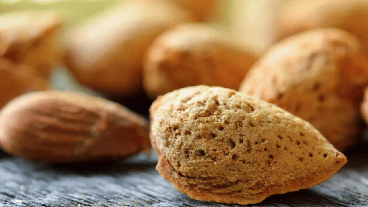 Foto - İşte bu son klinik çalışmalar... Damarları iyileştiren 2 besini bilim öneriyor