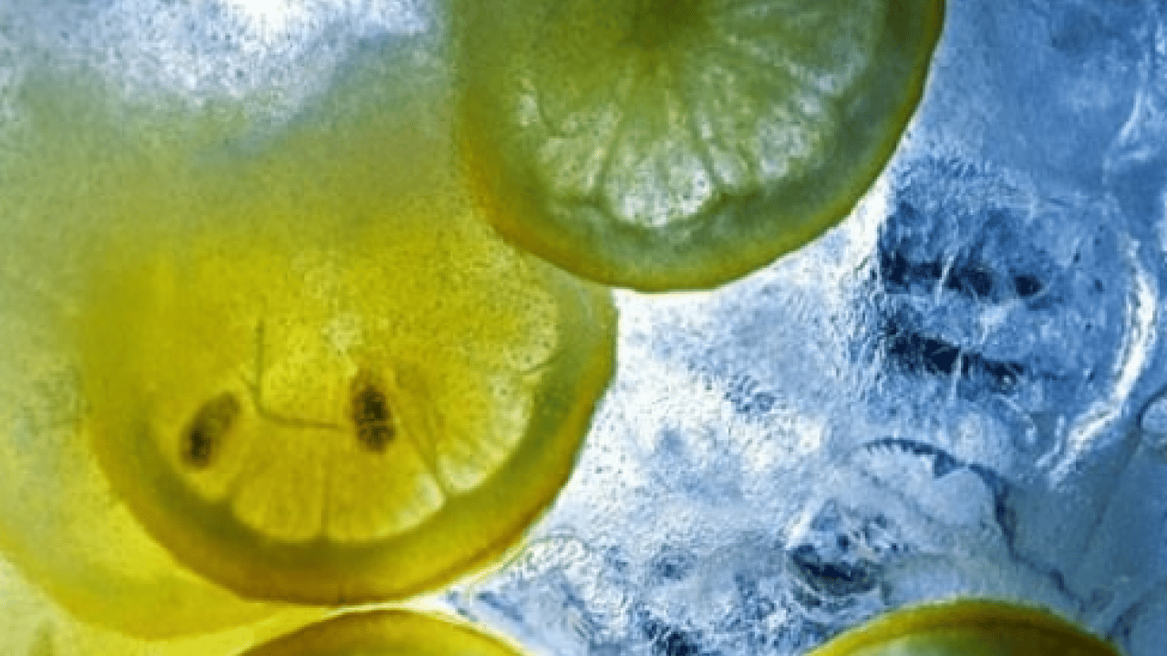 Foto - İşte bu yüzden limonu dondurarak tüketmelisiniz: Okuyanlar hayal kırıklığına uğradı! 