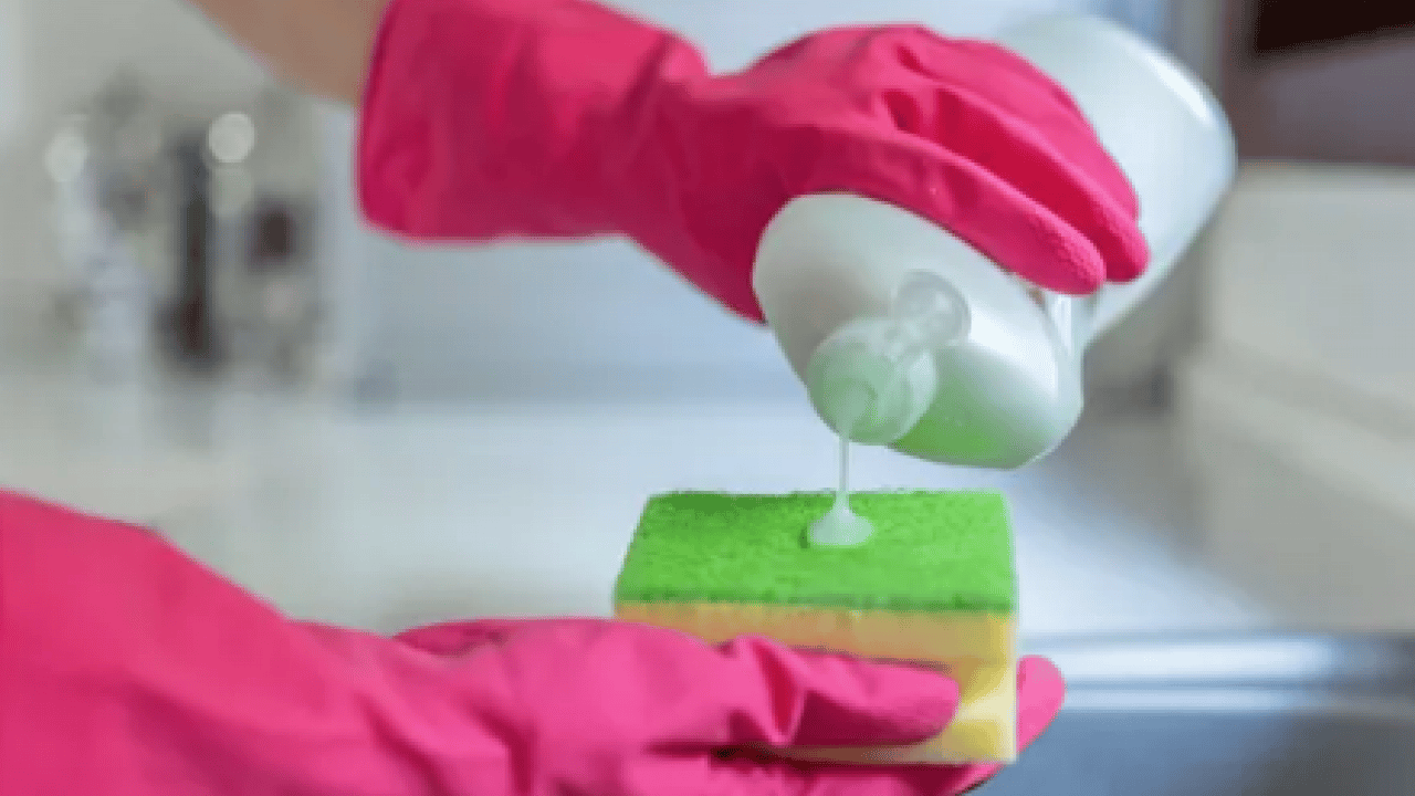 Foto - İşte bulaşık deterjanının asla değmemesi gereken 7 yer!