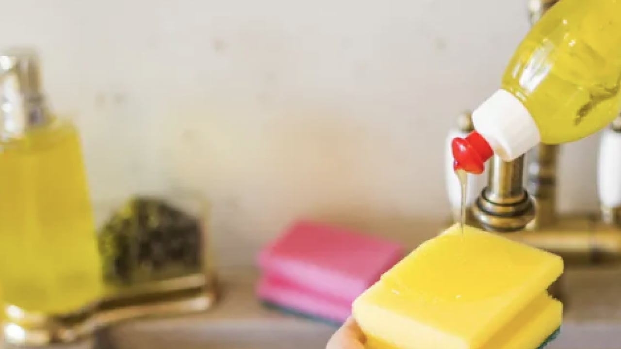 Foto - İşte bulaşık deterjanının asla değmemesi gereken 7 yer!