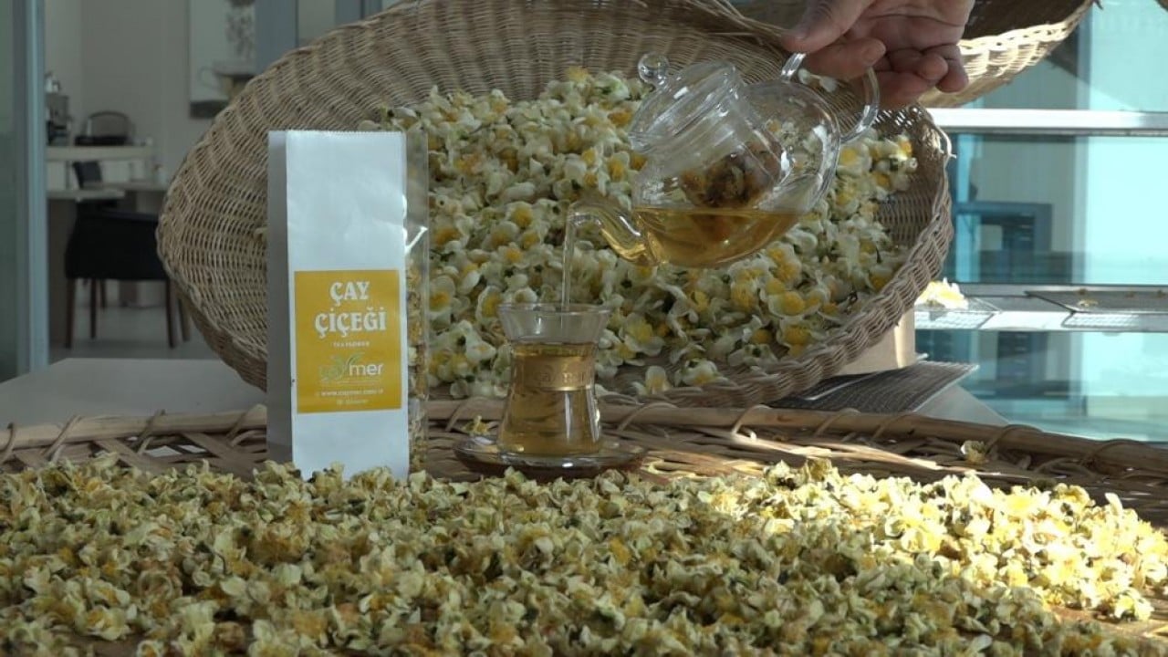 İşte çayın yeni ürünü ‘Çay çiçeği çayı'! Kilosu 6 bin TL'den satılıyor