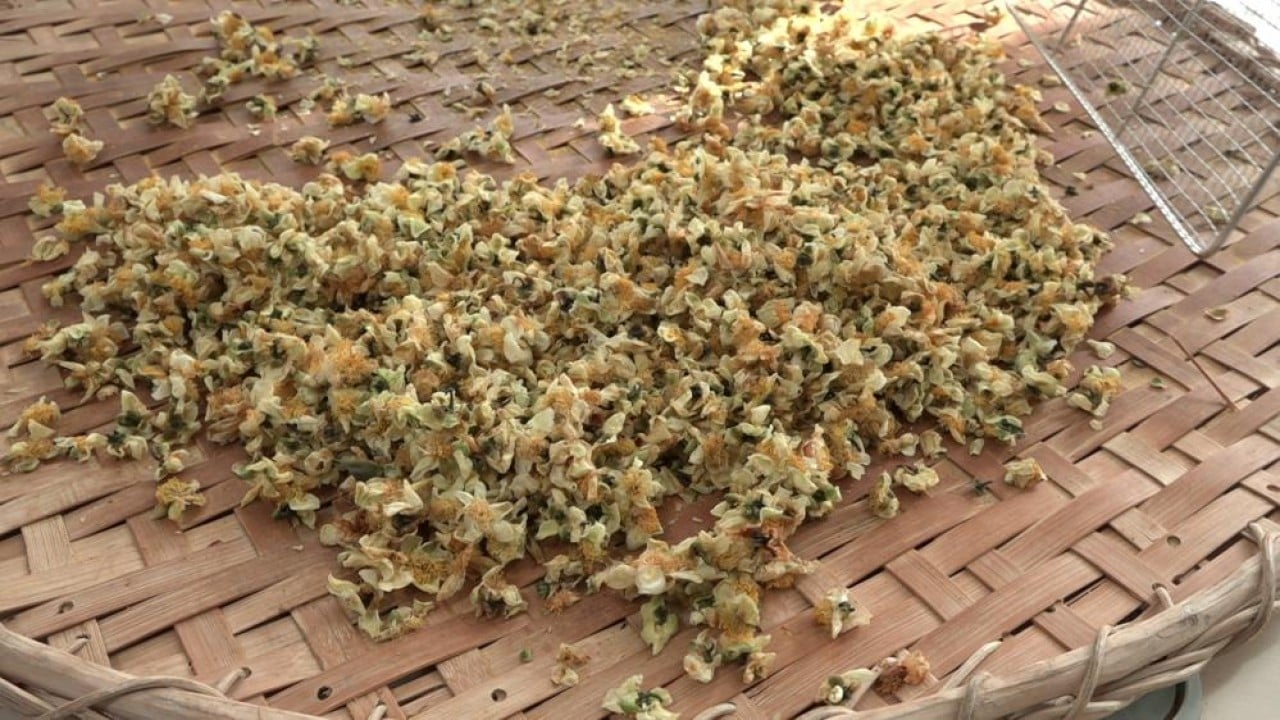 Foto - İşte çayın yeni ürünü ‘Çay çiçeği çayı'! Kilosu 6 bin TL'den satılıyor