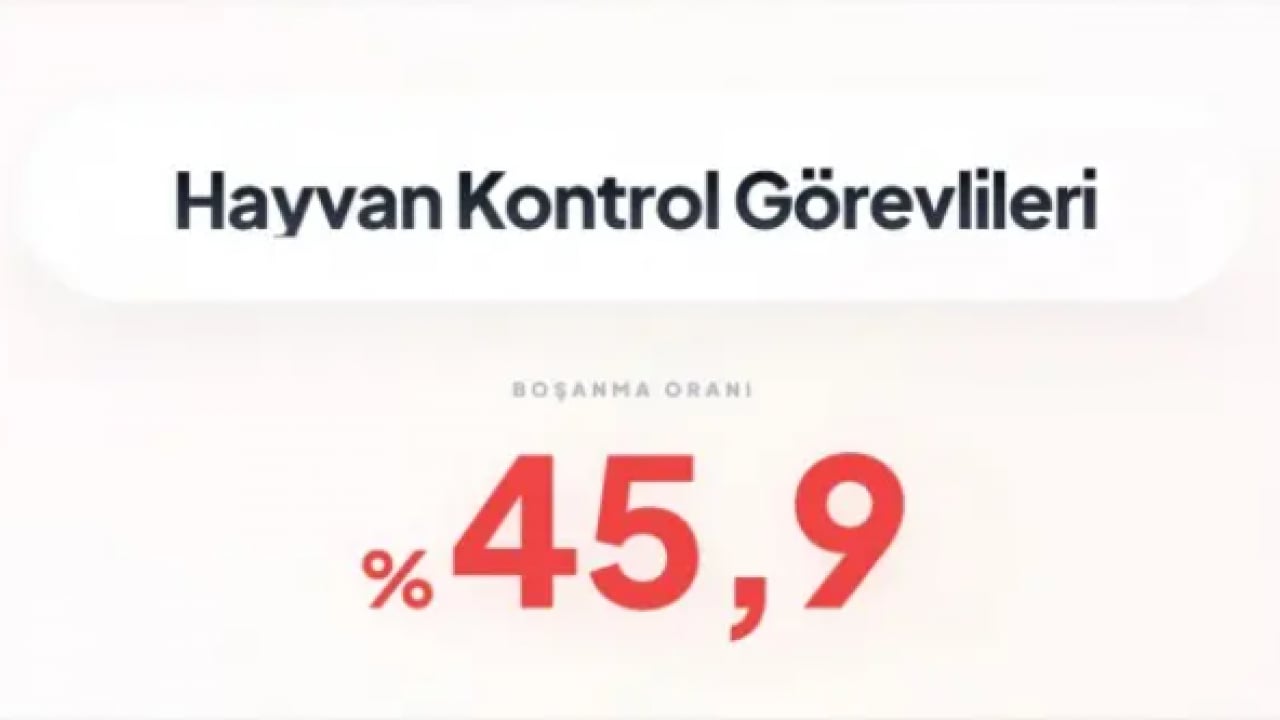 Foto - İşte en çok boşanan meslekler! Zirvedeki meslek rekor kırdı!
