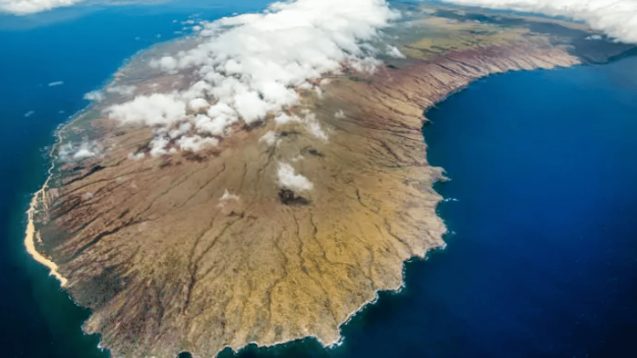 Foto - İşte Epstein'in listesine eklenen yeni ünlüler! O isim kıskandığı için ada satın almış!