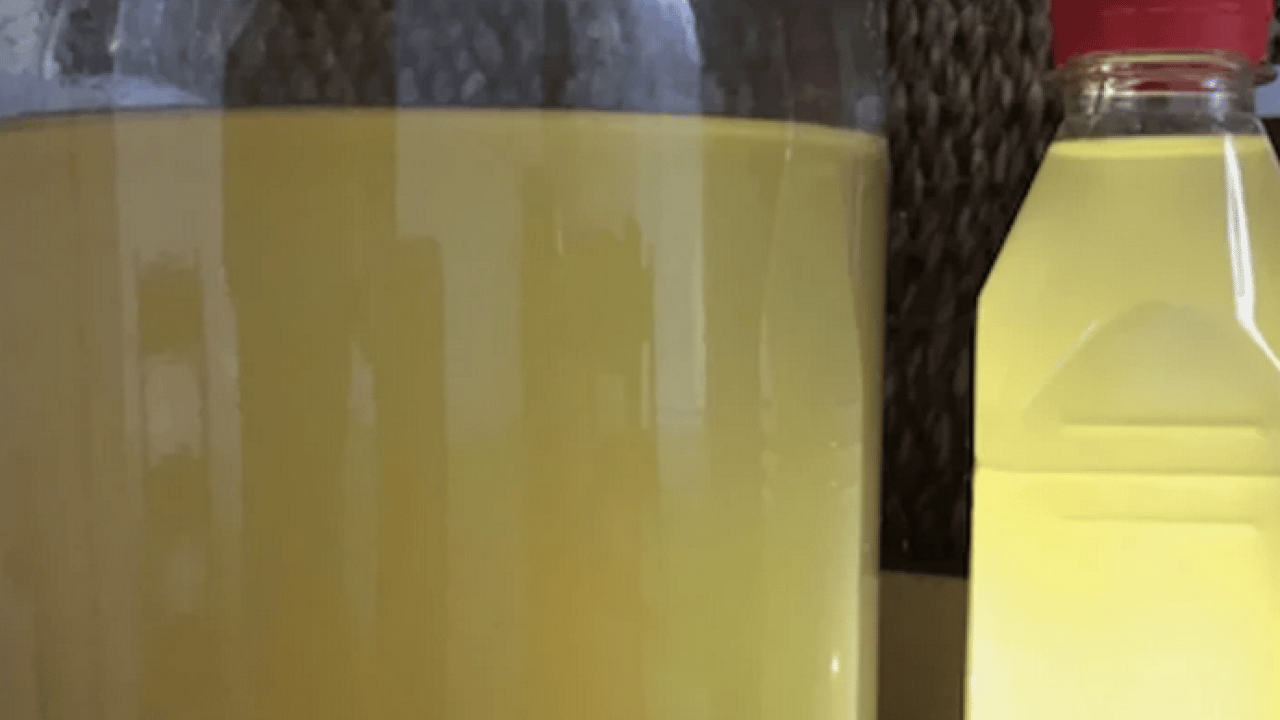 Foto - İşte evde sirke yapmanın altın formülü! Markete gitmeyi unutun bu yöntem harika...