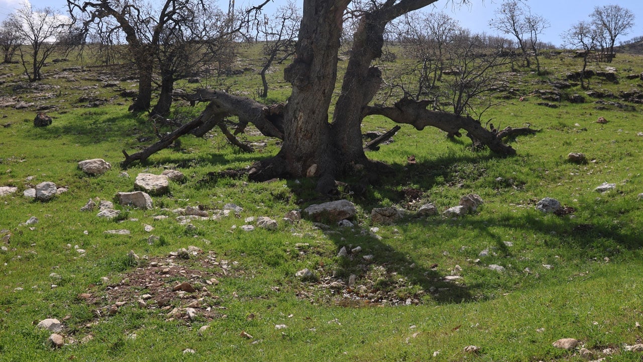 Foto - İşte Gülistan Doku'nun ilk gömüldüğü yer!