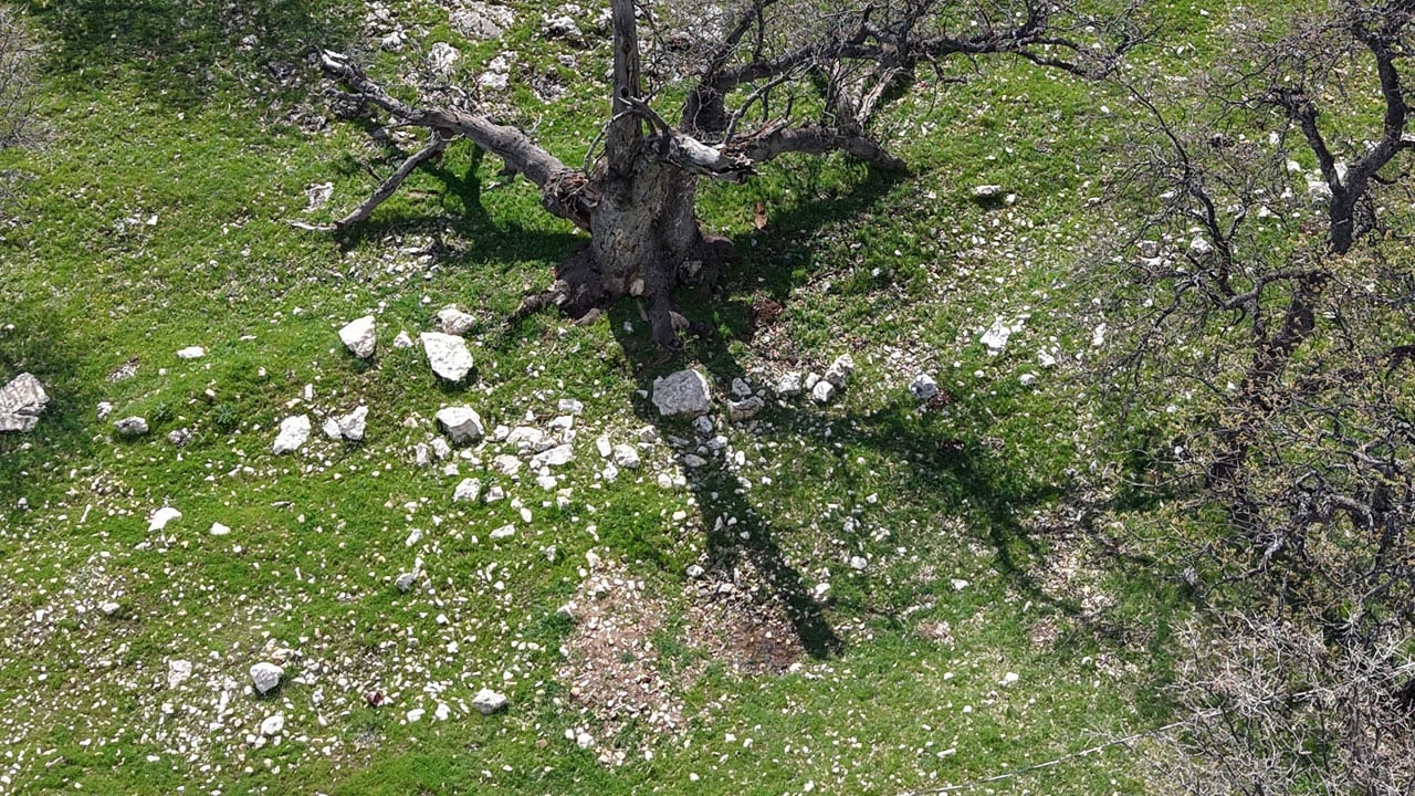Foto - İşte Gülistan Doku'nun ilk gömüldüğü yer!