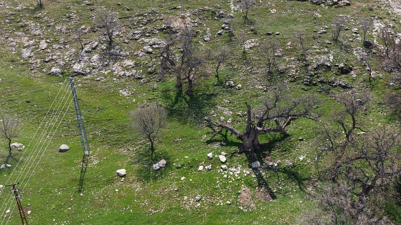 Foto - İşte Gülistan Doku'nun ilk gömüldüğü yer!
