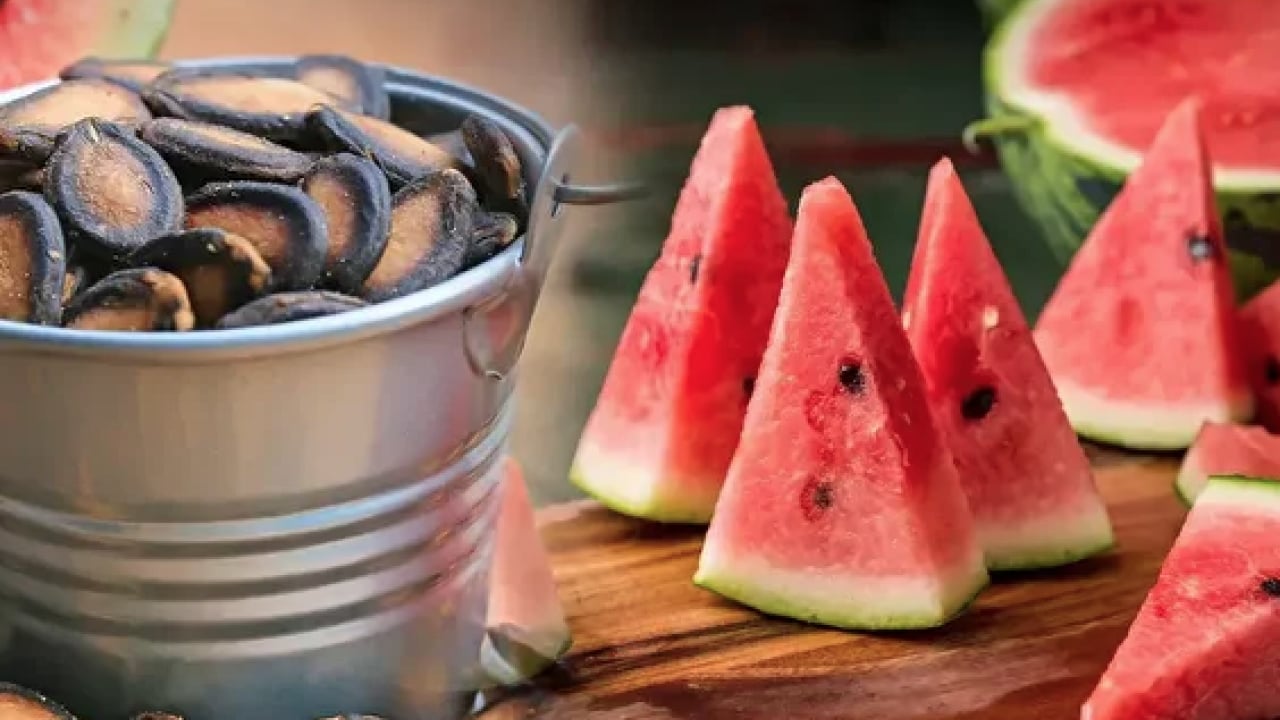 Foto - İşte İbn-i Sina’nın bin yıllık şifa reçetesinden 9 şifa ortaya saçılacak...