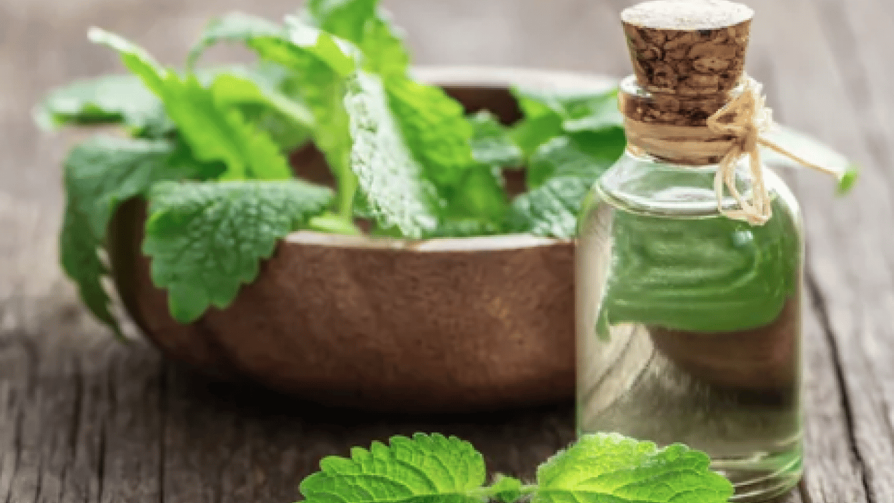 Foto - İşte İbn-i Sina'nın binlerce yıllık gençlik sırrı: Hürrem Sultan'ın gizli güzellik formülüymüş...