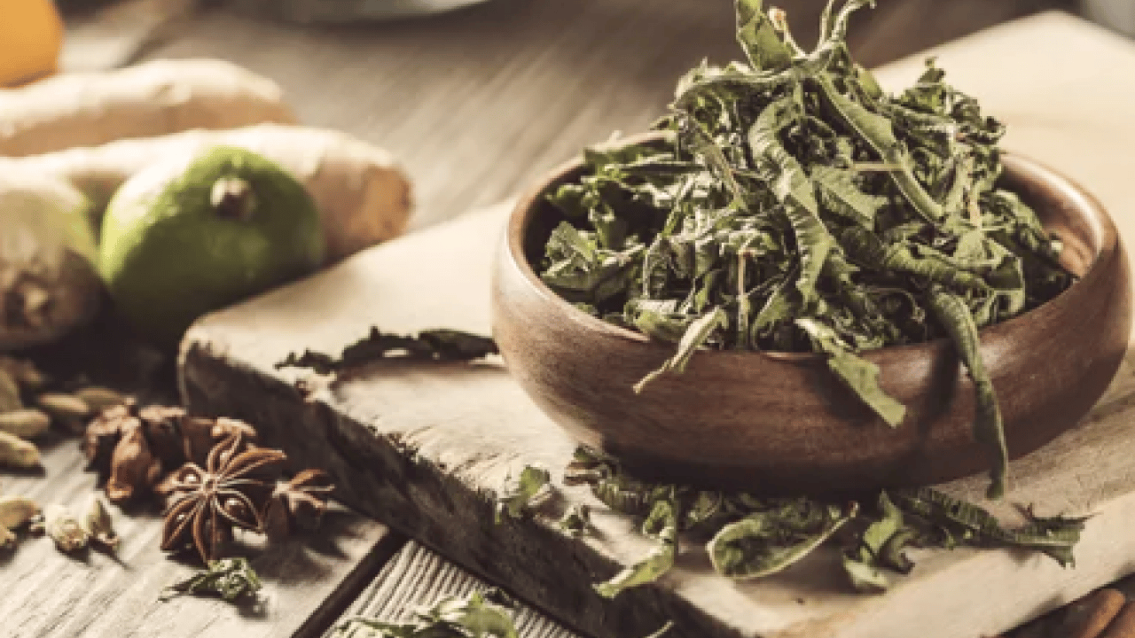 Foto - İşte İbn-i Sina'nın binlerce yıllık gençlik sırrı: Hürrem Sultan'ın gizli güzellik formülüymüş...