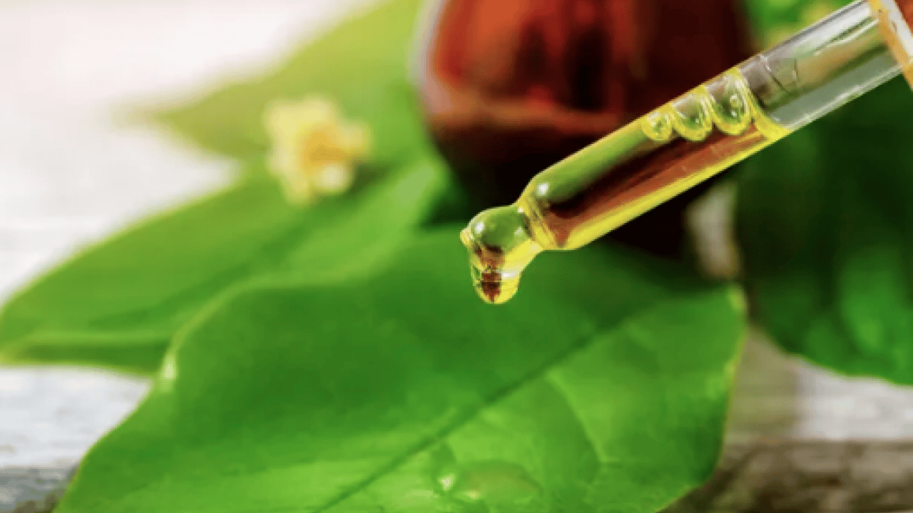 Foto - İşte İbn-i Sina'nın binlerce yıllık gençlik sırrı: Hürrem Sultan'ın gizli güzellik formülüymüş...