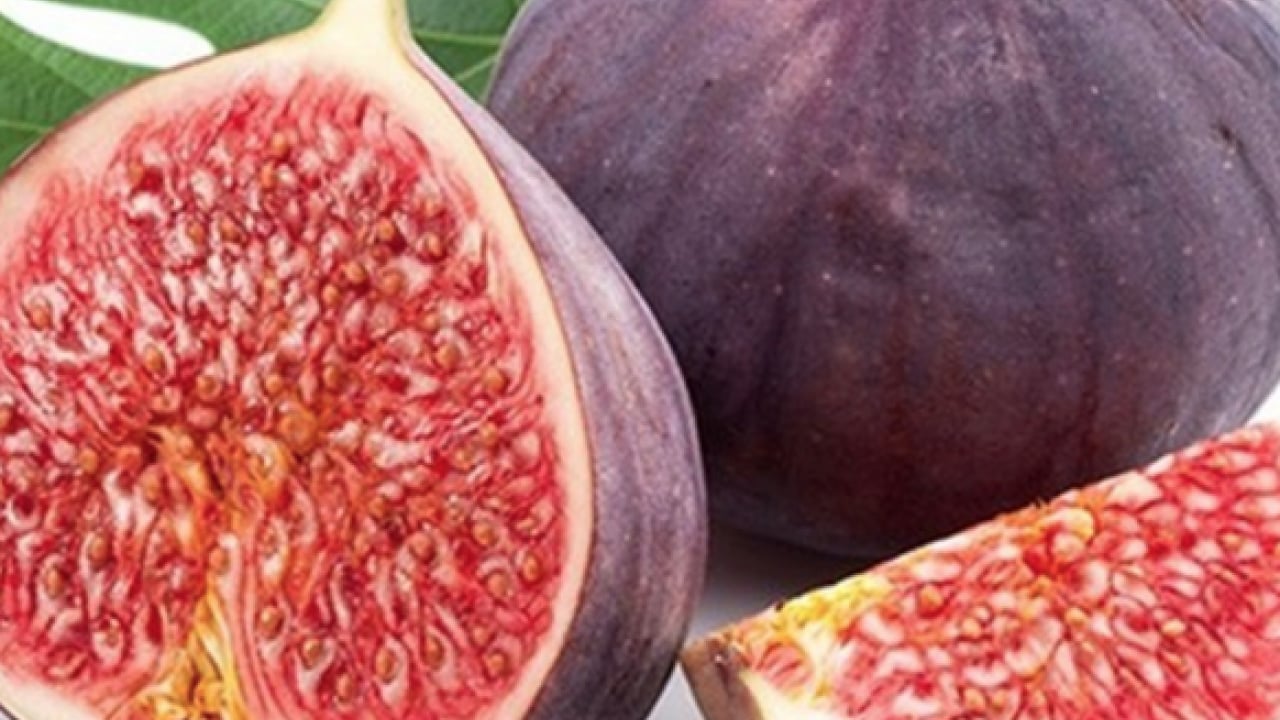 Foto - İşte İbn-i Sina'nın en çok övdüğü meyve: Dikkat çeken özellikleri var...