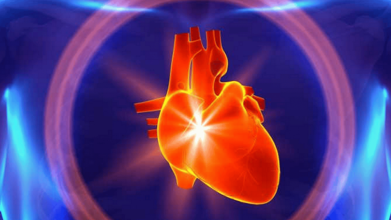 Foto - İşte kalbimizin iki ana düşmanı: Tıp dünyası alarma geçmiş durumda! Vücudunuz iflas etmesin…