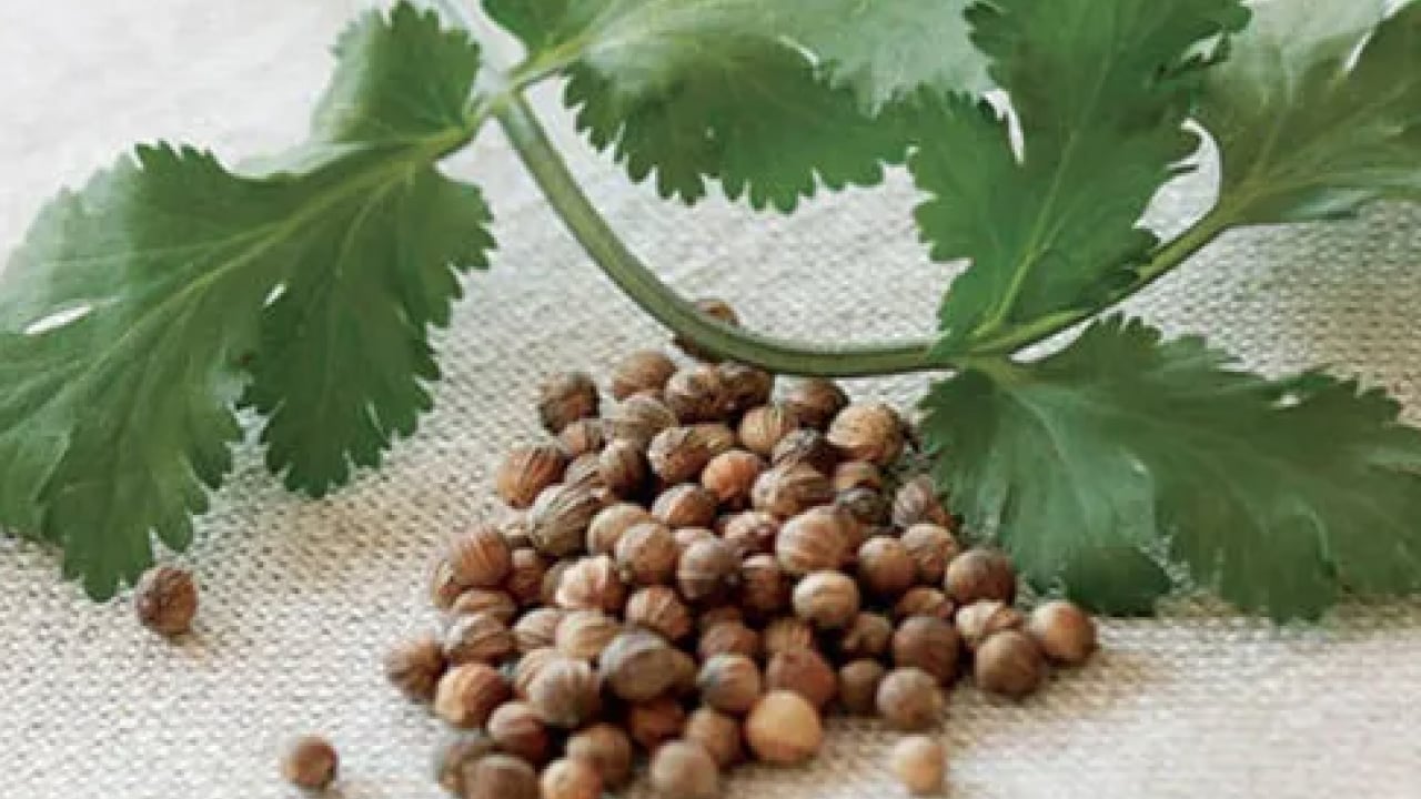 Foto - İşte kan şekeri ve kolesterolün gizli kahramanı! Gizli şeker için vitamin deposu... 