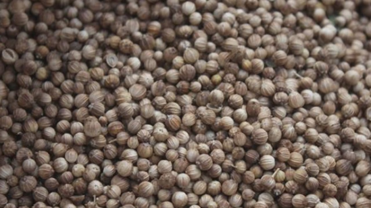 Foto - İşte kan şekeri ve kolesterolün gizli kahramanı! Gizli şeker için vitamin deposu... 