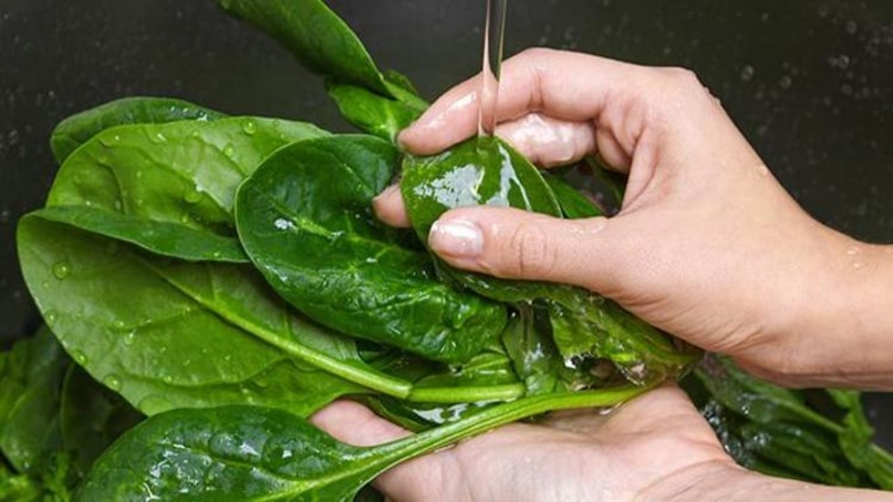 Foto - İşte kan yapan süper gıda! Canan Karatay açıkladı: Günde bir porsiyonu demiri zirveye çıkarıyor