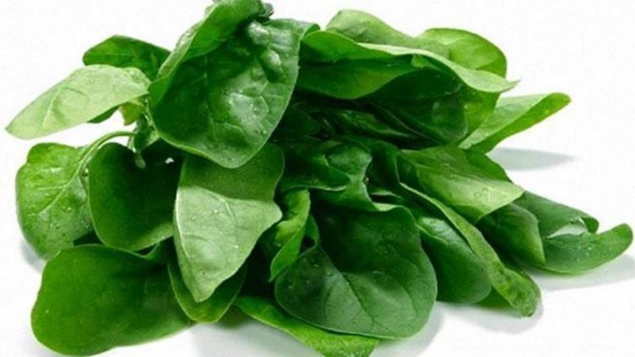 Foto - İşte kan yapan süper gıda! Canan Karatay açıkladı: Günde bir porsiyonu demiri zirveye çıkarıyor