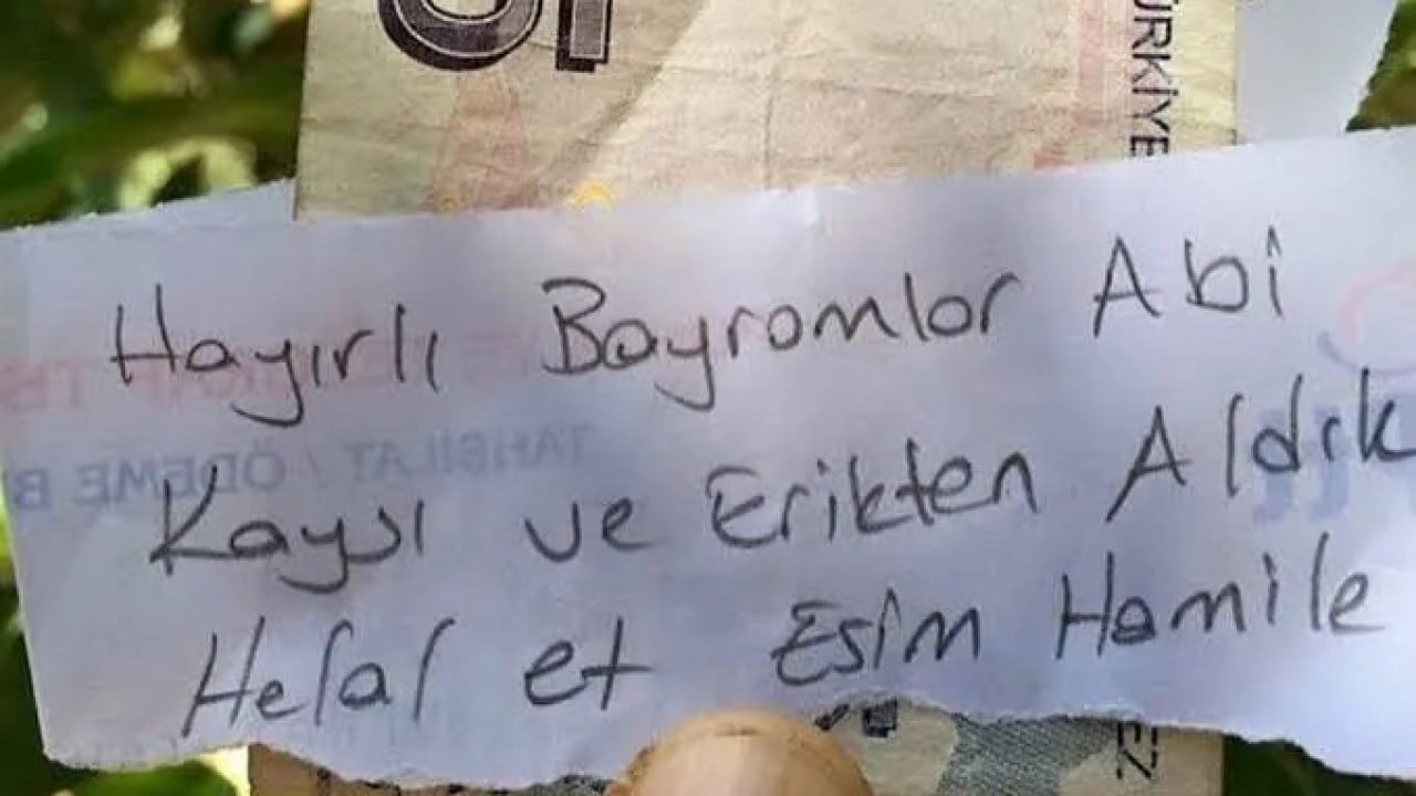 Foto - İşte merak edilen sorunun cevabı: Ağaçtan meyve koparıp parasını bırakmak caiz mi?