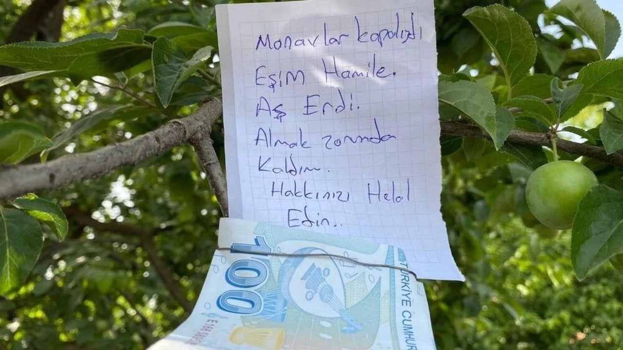 Foto - İşte merak edilen sorunun cevabı: Ağaçtan meyve koparıp parasını bırakmak caiz mi?