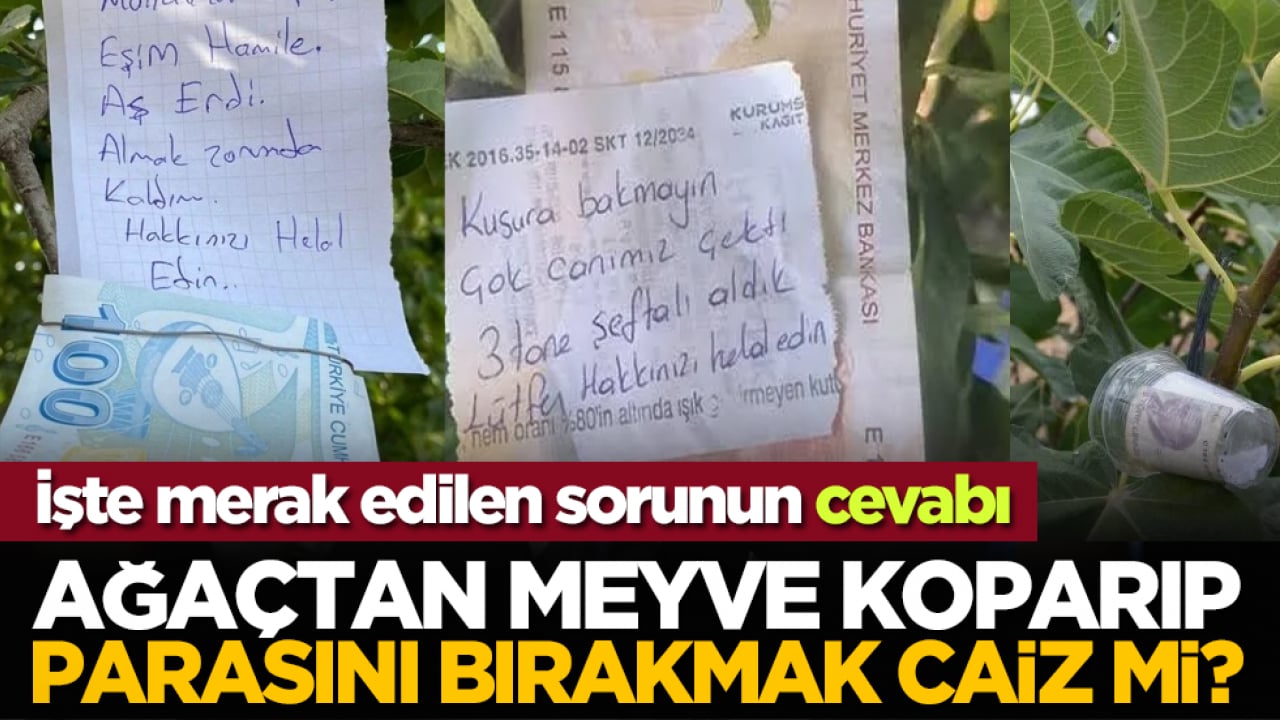İşte merak edilen sorunun cevabı: Ağaçtan meyve koparıp parasını bırakmak caiz mi?