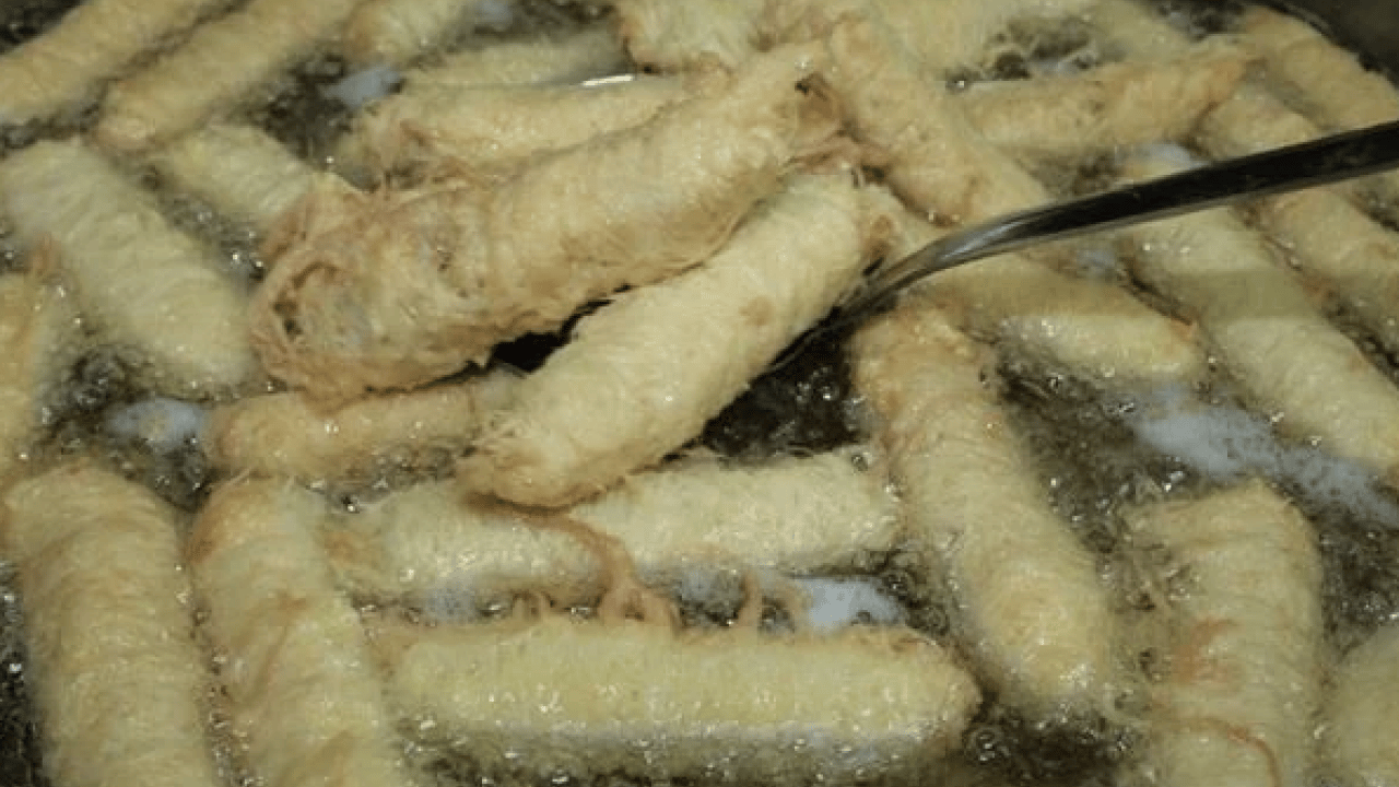 Foto - Mutfağınızdaki sessiz tehlike: Kanser hücrelerini bakın ne yapıyormuş... 