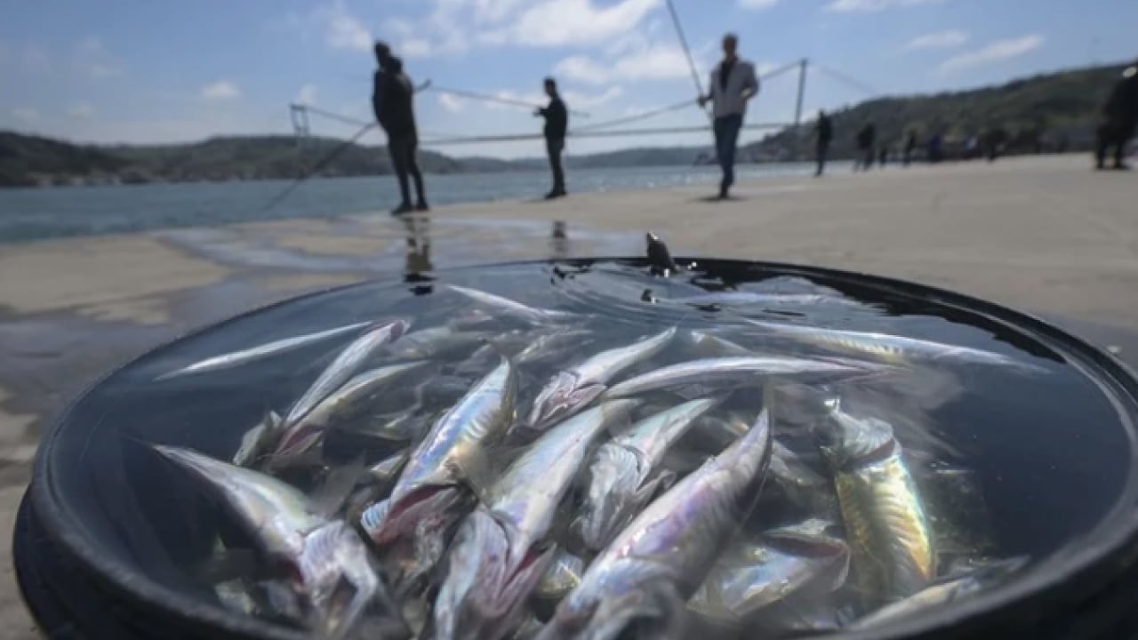 Foto - İşte o hatalar... Balık yerken iki kez düşünün: Meğer yanlış tüketince zehirden farkı kalmıyormuş