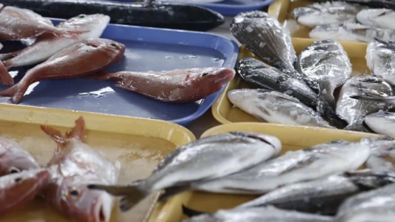 Foto - İşte o hatalar... Balık yerken iki kez düşünün: Meğer yanlış tüketince zehirden farkı kalmıyormuş