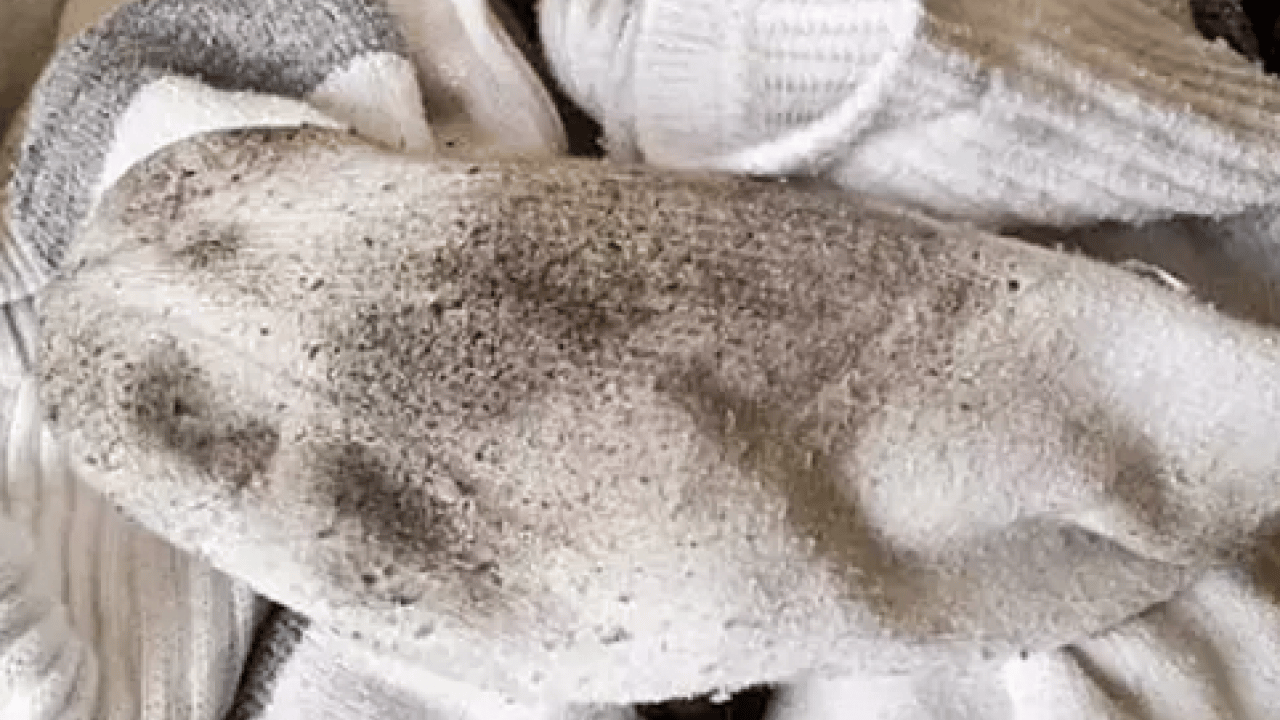 Foto - İşte o temizlik kürü: Beyazlık formülü için bunu yapın: Yeni yöntem...