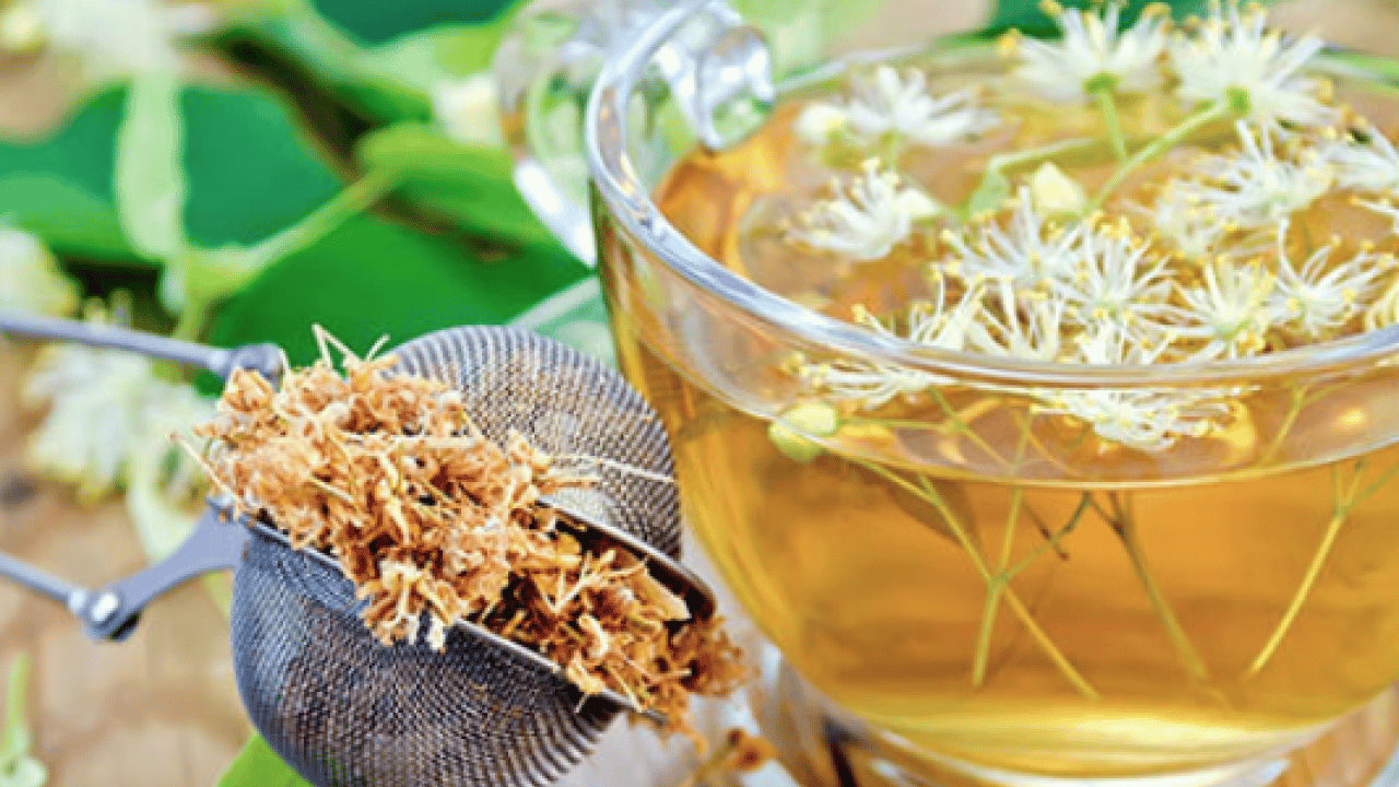 Foto - İşte şifa kaynakları... Bronşit, öksürük, grip... Soğuk algınlığına birebir 3 bitki çayı