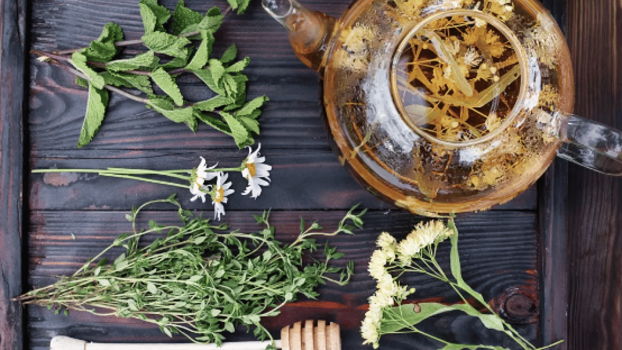 Foto - İşte şifa kaynakları... Bronşit, öksürük, grip... Soğuk algınlığına birebir 3 bitki çayı