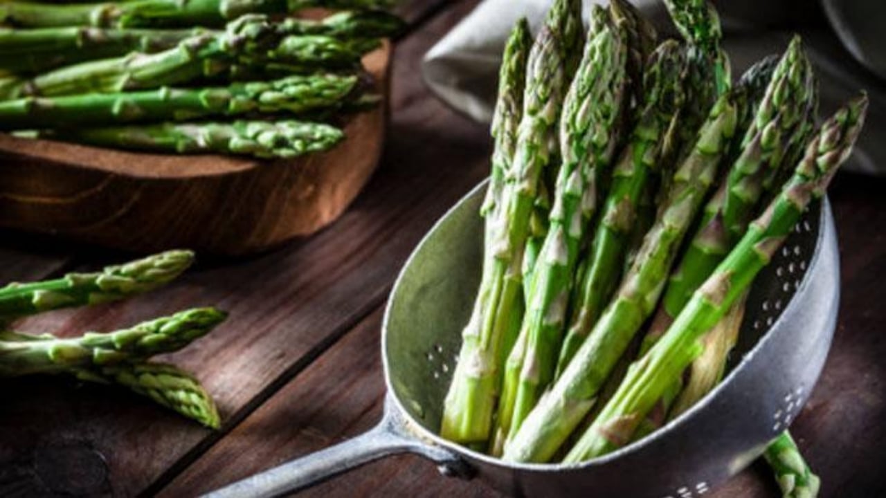 Foto - İşte tarlayı darphaneye çeviren bitki: Bir kez ekin, 20 yıl boyunca hasat edin