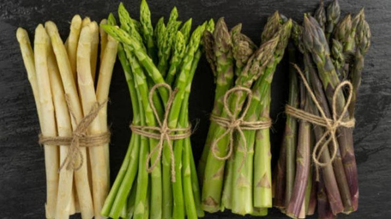 Foto - İşte tarlayı darphaneye çeviren bitki: Bir kez ekin, 20 yıl boyunca hasat edin