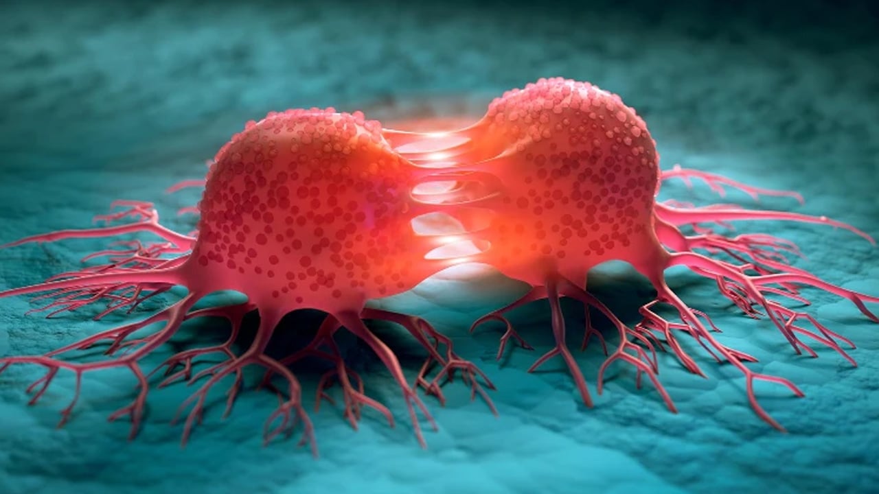 Foto - İşte tümörü içeriden yok eden bakteri: Kansere karşı bu yöntem çığır açtı! Biyoteknoloji'de son gelişme