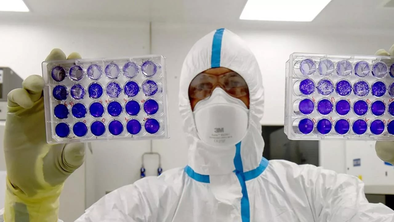 Foto - İşte tümörü içeriden yok eden bakteri: Kansere karşı bu yöntem çığır açtı! Biyoteknoloji'de son gelişme