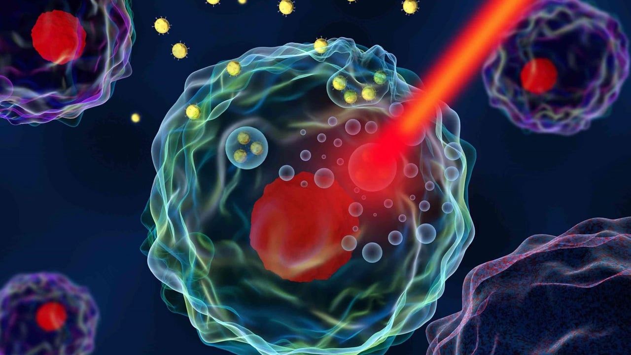 İşte tümörü içeriden yok eden bakteri: Kansere karşı bu yöntem çığır açtı! Biyoteknoloji'de son gelişme