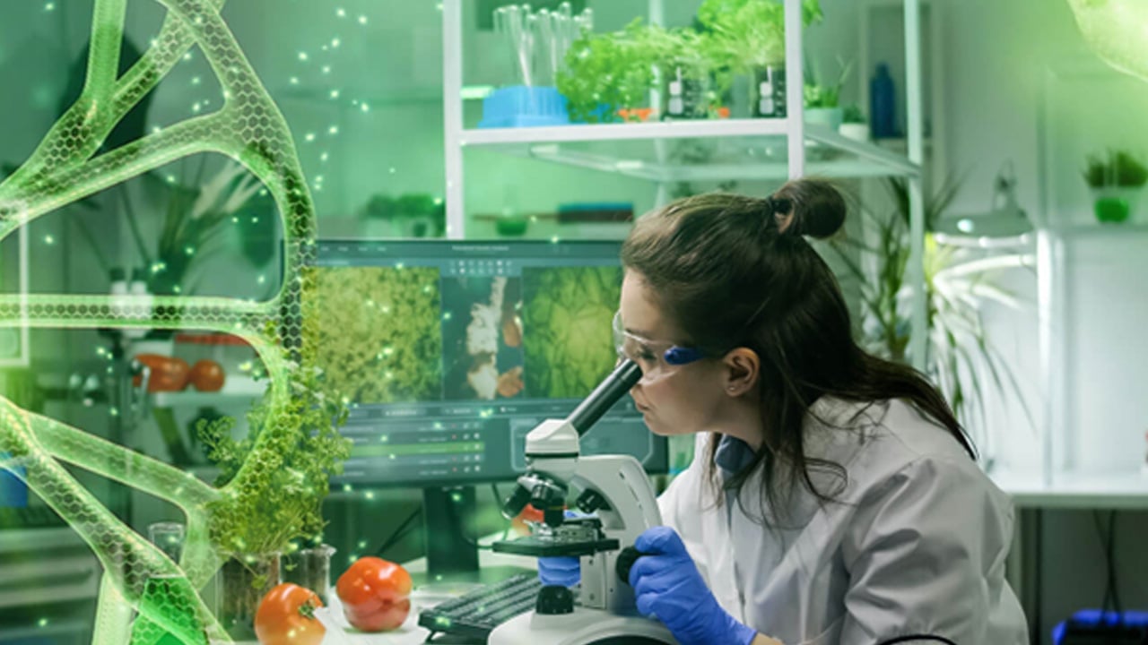 Foto - İşte tümörü içeriden yok eden bakteri: Kansere karşı bu yöntem çığır açtı! Biyoteknoloji'de son gelişme