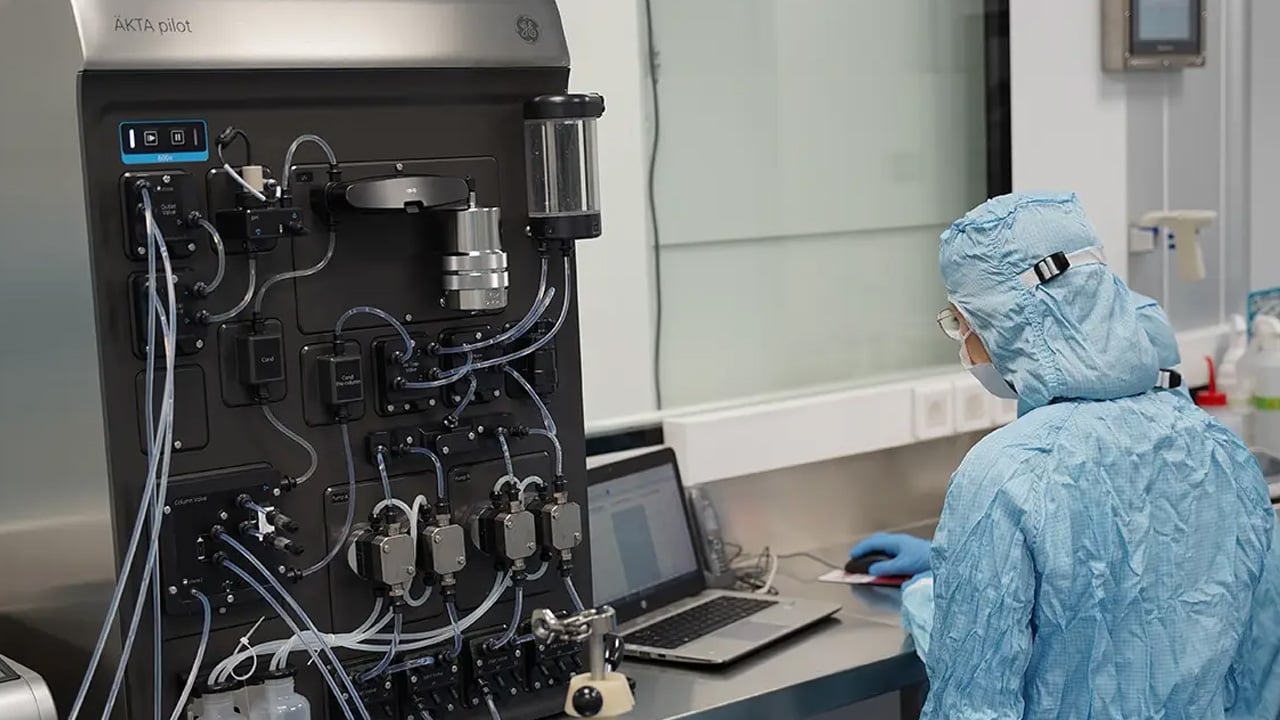 Foto - İşte tümörü içeriden yok eden bakteri: Kansere karşı bu yöntem çığır açtı! Biyoteknoloji'de son gelişme