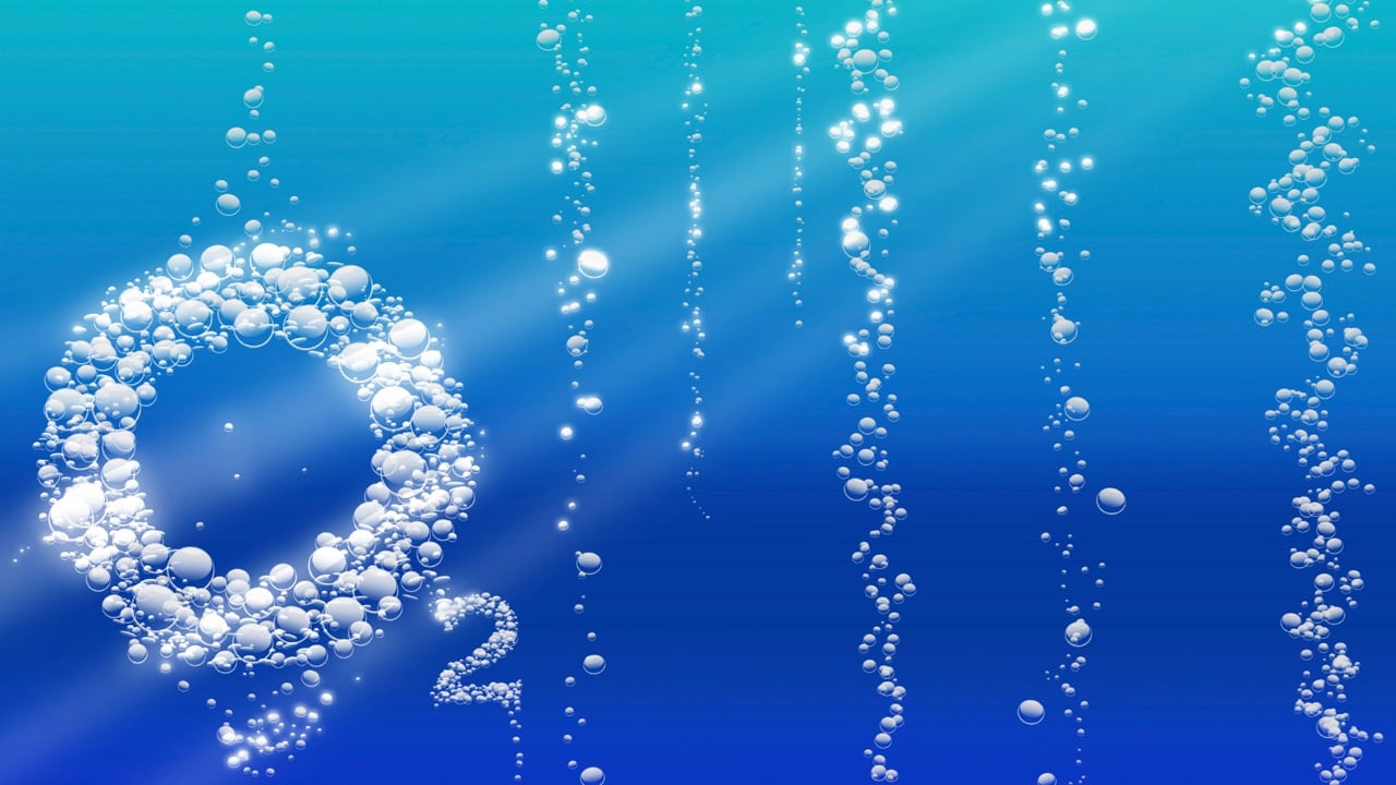 Foto - İşte tümörü içeriden yok eden bakteri: Kansere karşı bu yöntem çığır açtı! Biyoteknoloji'de son gelişme