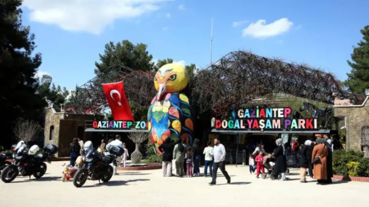 Foto - İşte Türkiye'de doğan ilk zürafa! İsmi oylamayla belli oldu!