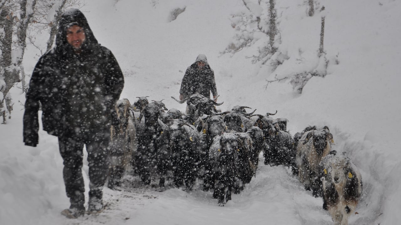 Foto - İşte Türkiye’nin -30.3 dereceyle en soğuk ili! Zemheri soğukları başladı!