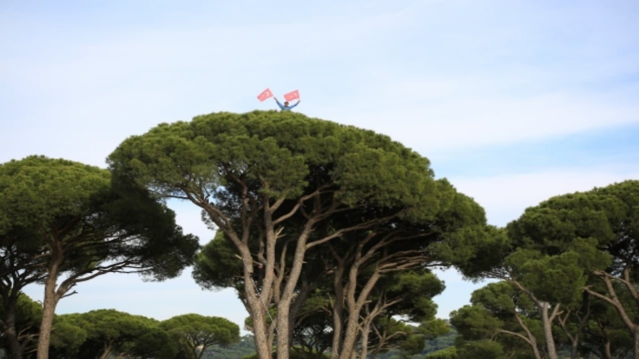Foto - İşte Türkiye’nin en pahalı yemişi: Kilogramı 7 bin TL’ye çıkıyor, yol kenarına eken milyoner oluyor