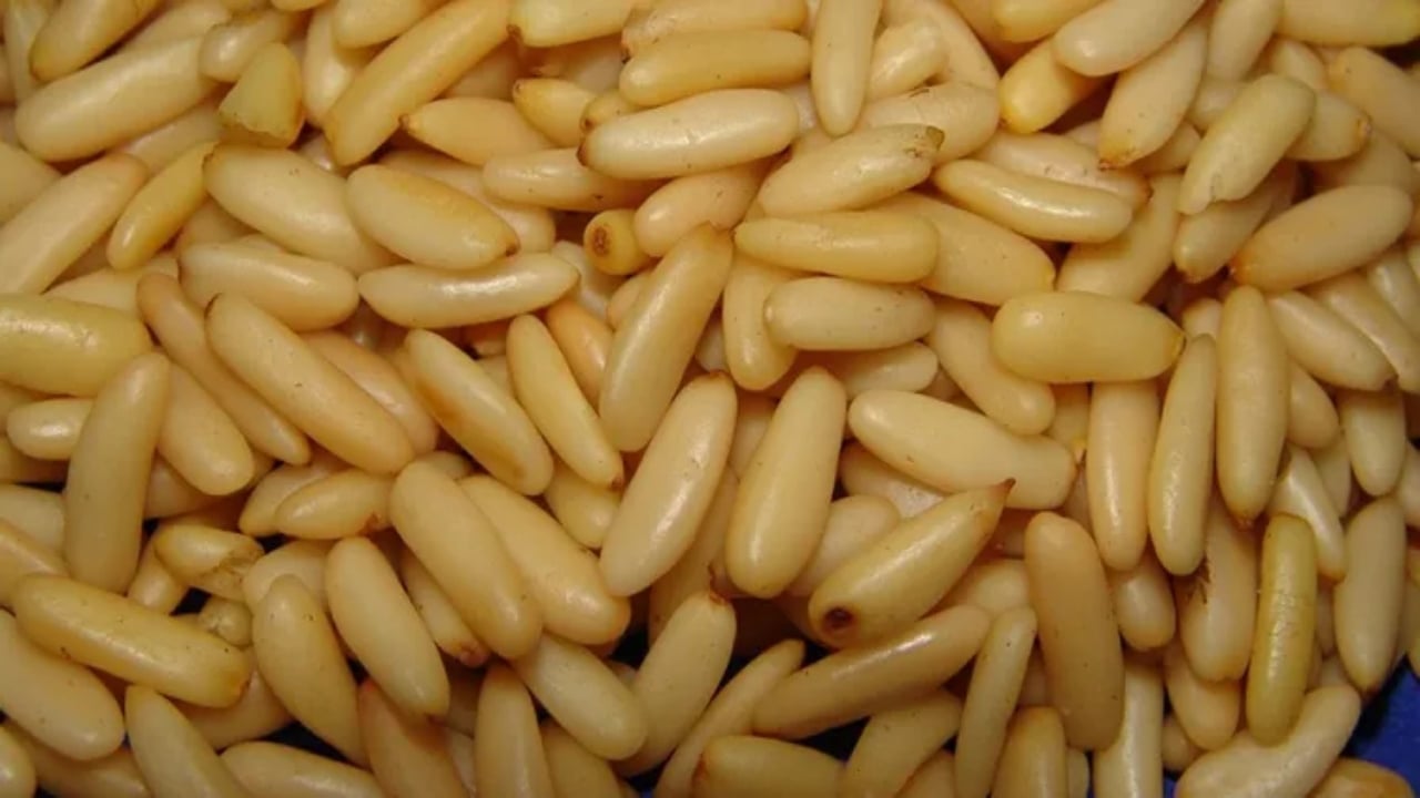 Foto - İşte Türkiye’nin en pahalı yemişi: Kilogramı 7 bin TL’ye çıkıyor, yol kenarına eken milyoner oluyor