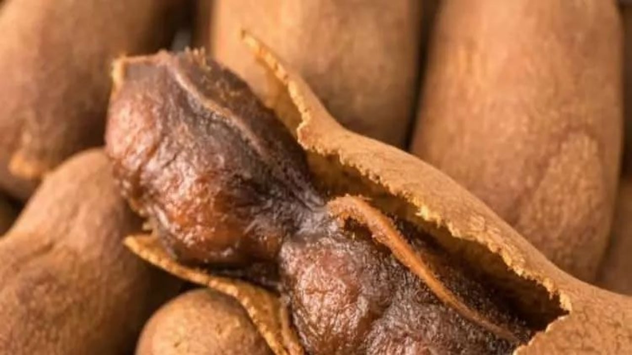 Foto - İşte Türklerin Google’da en çok arattığı kelimeler! Liste herkesi şaşırttı