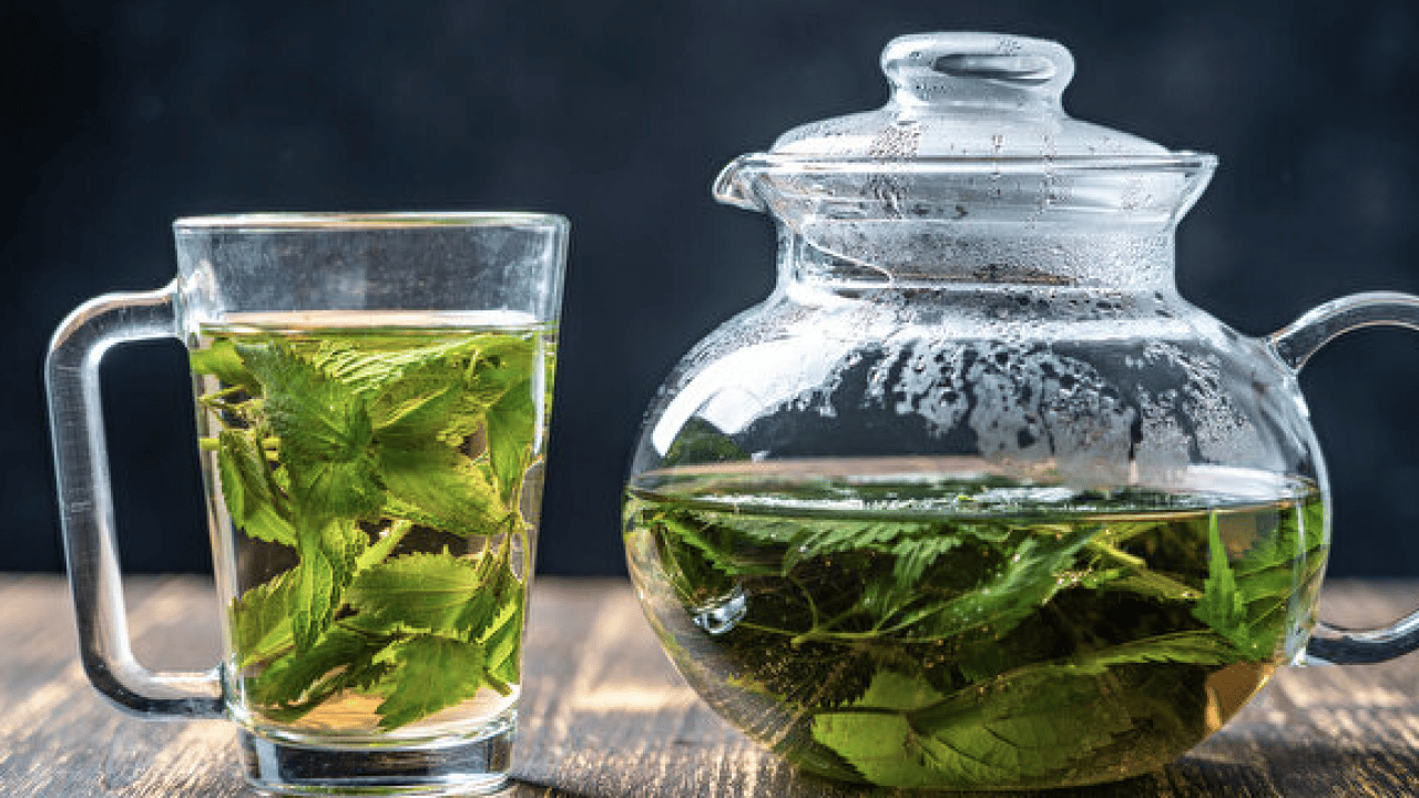 Foto - İşte ünlü alimin dilinden hiç düşmeyen o gıda deposu... İbn-i Sina'nın mucize bitkisi ortaya çıktı! 